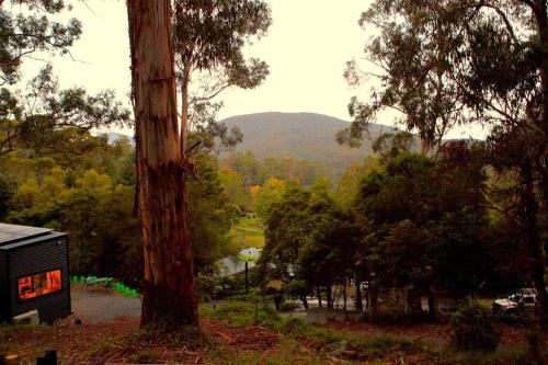 Millgrove Maison | Kookaburra's Perch