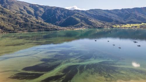 Linkwater Maison | Koraha - Queen Charlotte Sound Holiday Home