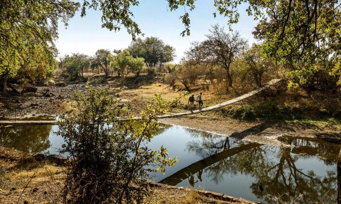 Mashatu Game Reserve Autre | Koro Island Camp