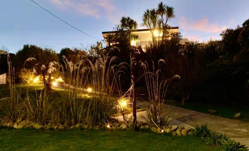 Picton Maison | Koru Havenz