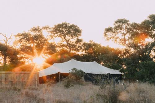 Kruger National Park Autre | Kruger Untamed - Satara Plains Camp