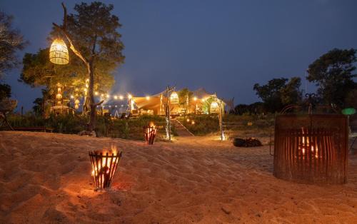 Kruger National Park Autre | Kruger Untamed - Tshokwane River Camp