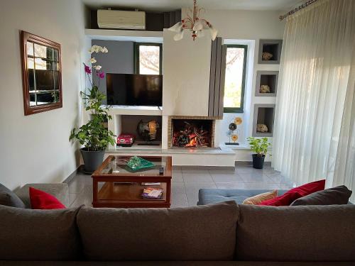 Ano Lechonia Appartement | Ktima Nostos