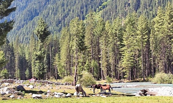 Khyber Pakhtunkhwa Hôtel | Kumrat Glamping Resorts