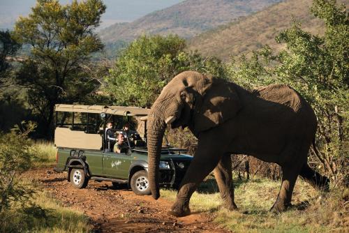 Pilanesberg National Park Hôtel | Kwa Maritane Lodge