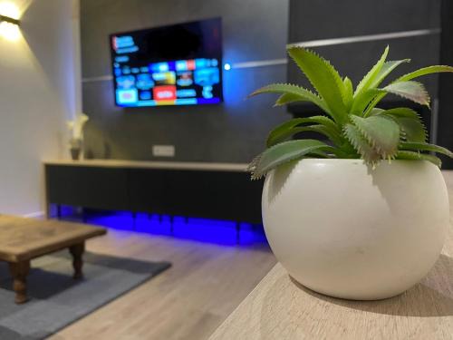 Riez Appartement | Lëy-H appart
