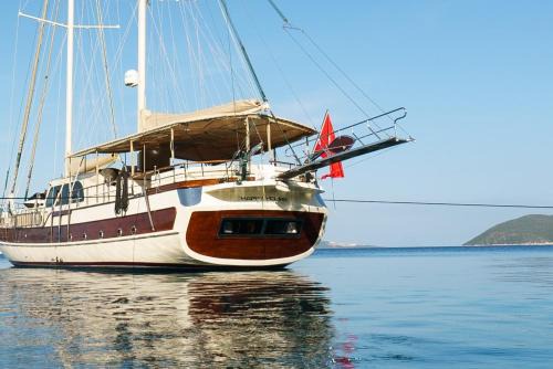 Turgutreis City Center Location De Bateaux | Lüks gulette tekne tatili