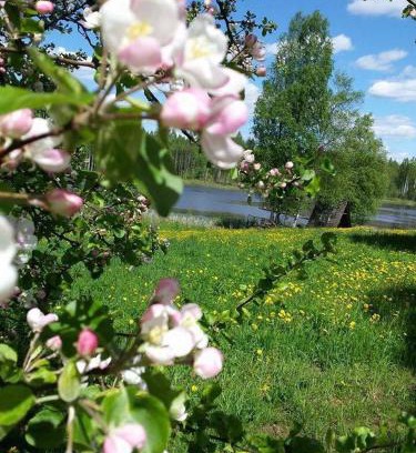 Vidzeme Maison | Līgatnes Zemturi