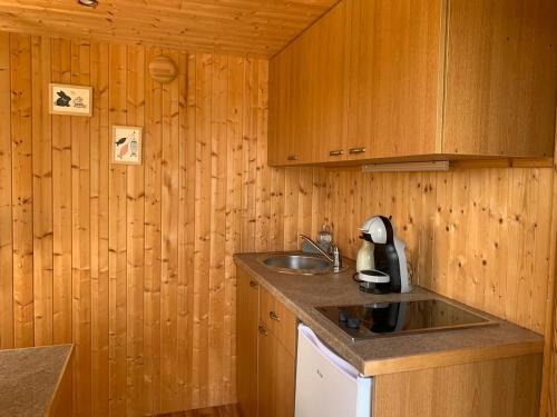 Roye Chalet De Ski | L'Écorce & le Tanin - 2 cabanes cosy pour 4, pêche