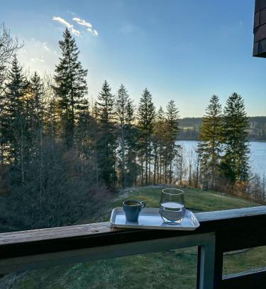 Malbuisson Appartement | L'écrin du Lac St-Point
