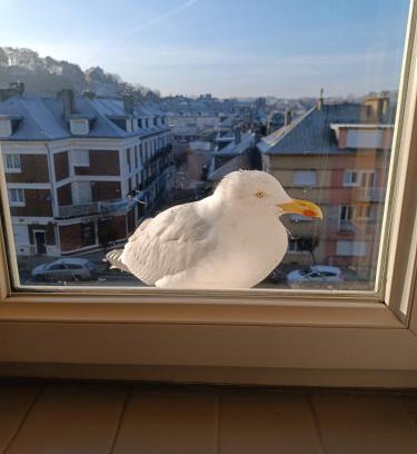 Saint-Valery-en-Caux Appartement | L'amoureuse