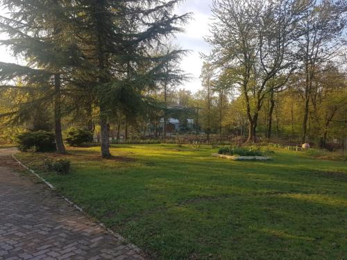 Pontetto Appartement | L'ape Regina