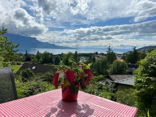 Saint-Legier-La Chiesaz Appartement | L'Appart Riviera vue panoramique
