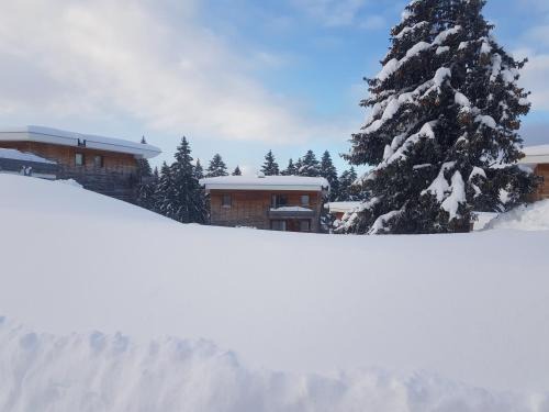 Chamrousse Appartement | L'Après-ski Chamrousse 1700
