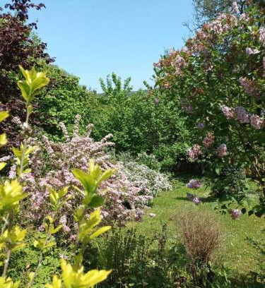 Arques-la-Bataille Maison | L'escale Arquaise, la maison au jardin fleuri à 5 min de dieppe 7 jours minimum