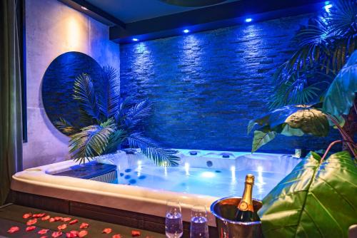 Trois Cocus - Borderouge - Croix-Daurade - Paleficat Appartement | L’Insolite, Spa Privatif (Appartement Jacuzzi)