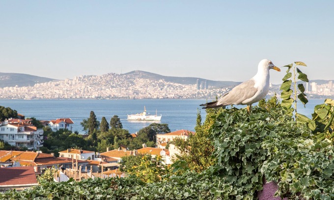 Adalar Maison | L'isola Guesthouse - Adults Only