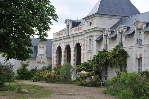 Brain-sur-Allonnes Appartement | L'Orangerie du Château - LE NID - GITE 2 Personnes