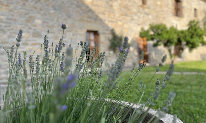 Coscojuela de Sobrarbe Maison | L'ancienne abbaye de 1689 avec terrasse, jardin et barbecue