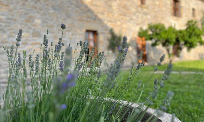 Coscojuela de Sobrarbe Maison | La Abadia