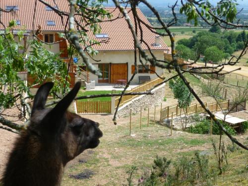 Saint-Andre-dʼApchon Maison | La Bruyère aux Lamas