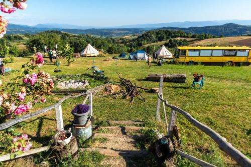Rosia Autre | La Busuri Camp