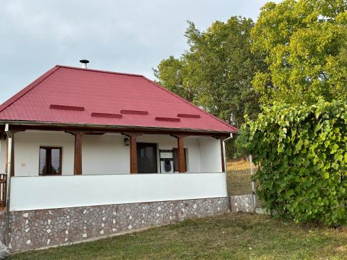 Suici Maison | La Căsuță Rudeni
