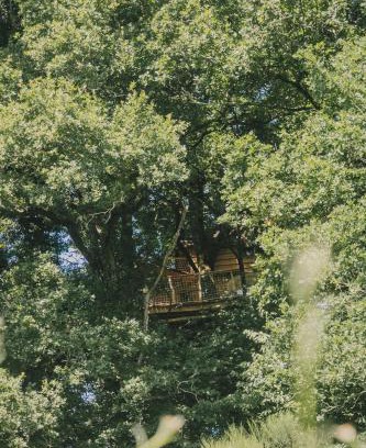 Coudures Autre | La Cabanoun, cabane perchée vue lac