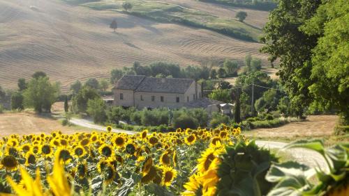 Trecastelli Lit Et Petit-Déjeuner | "La Casa degli ulivi Art B&B"