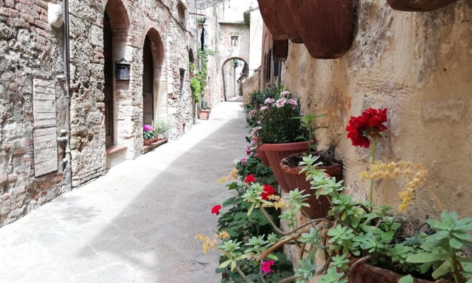 Colle di Val d'Elsa Appartement | La Casa del Fotografo