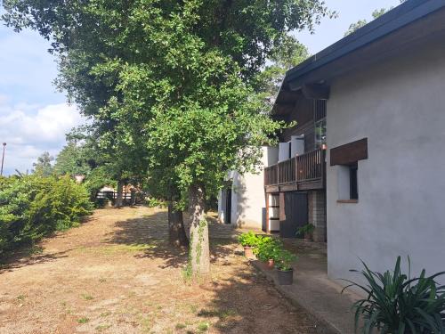 Olius Appartement | La casa del pi