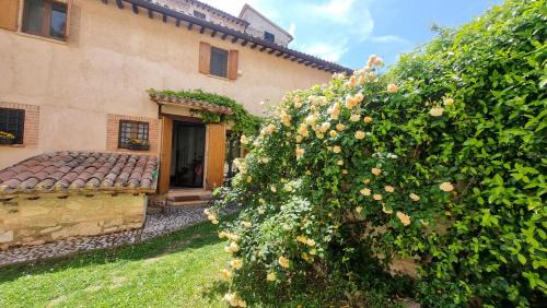 Bovara Maison | La Casa di LucaPietro Dimora Storica