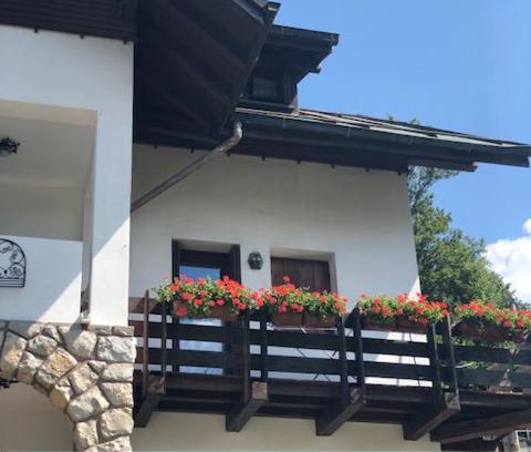 Pieve di Cadore Appartement | La casa di Monte Ricco