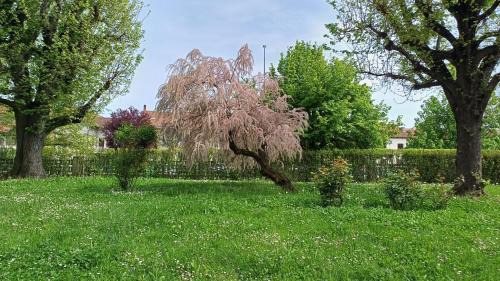 Moncalieri Appartement | La Casa nel Parco