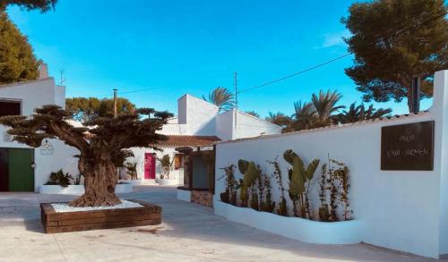 Santomera Maison | La Casa Rosa de Finca Doña Carmen