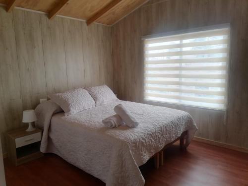 Vina del Mar Maison | La casa y el árbol