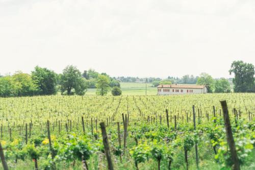 Camignone di Passirano Lit Et Petit-Déjeuner | La Cascinetta