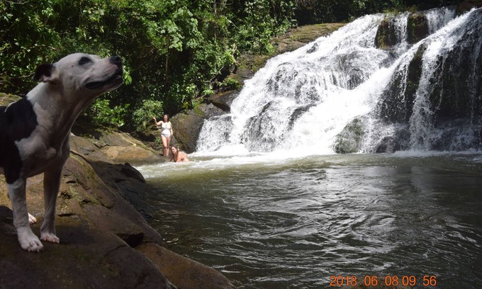 Platanillo Cabine | La Ceiba Ecoadventures