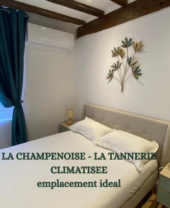 Old Town Appartement | La Champenoise La Tannerie