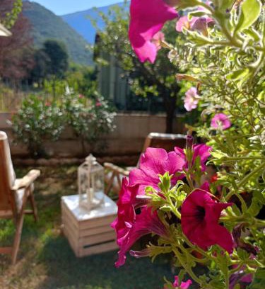 Nave Appartement | La Civetta appartamento con giardino e parcheggio