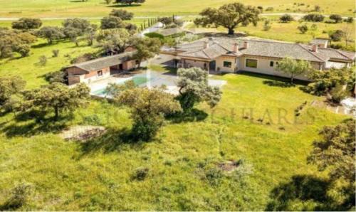 Mejorada Maison | La encina del pastor