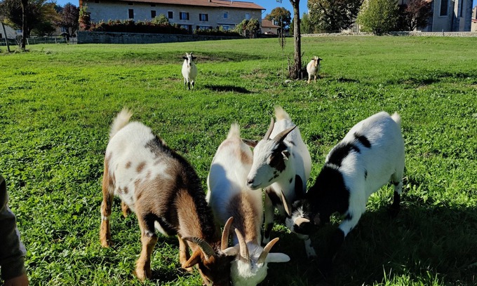 Aromas Maison | La ferme des Tilleuls