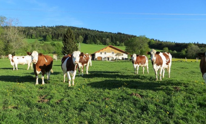 Pierrefontaine-les-Varans Lit Et Petit-Déjeuner | La ferme du bonheur