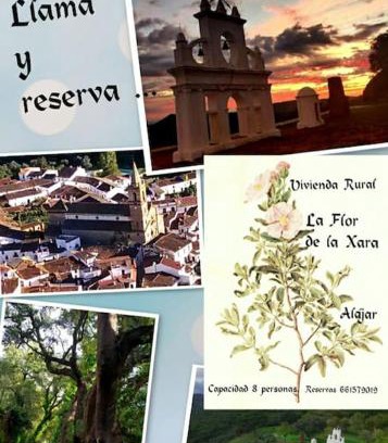 Alajar Maison | La Flor De La Xara