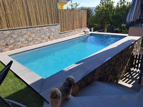 Ricco del Golfo di Spezia Appartement | La Fontanella Apartment