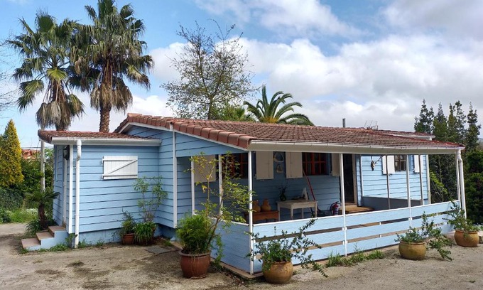 Arce Maison | La isla de las sirenas