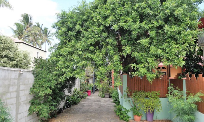 Saint-Louis Appartement | La Kaz à l'Étang - Votre Location de Vacances à l'île de la Réunion