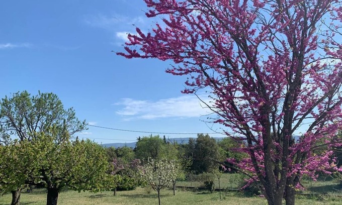 Cabrieres-d'Avignon Maison | La Lavande - Maison de Vacances en Provence Avec Piscine Privée et Jardin Arboré