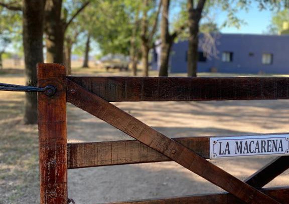 Navarro Maison | La Macarena