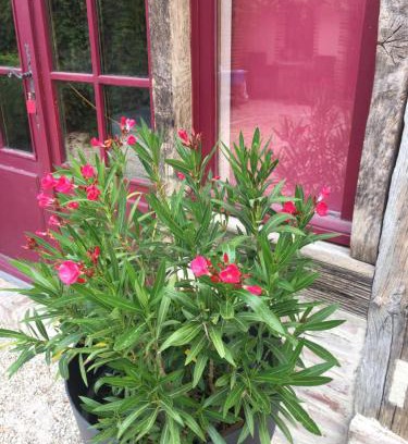 La Ferte-Beauharnais Maison | La Maison aux Volets Rouges